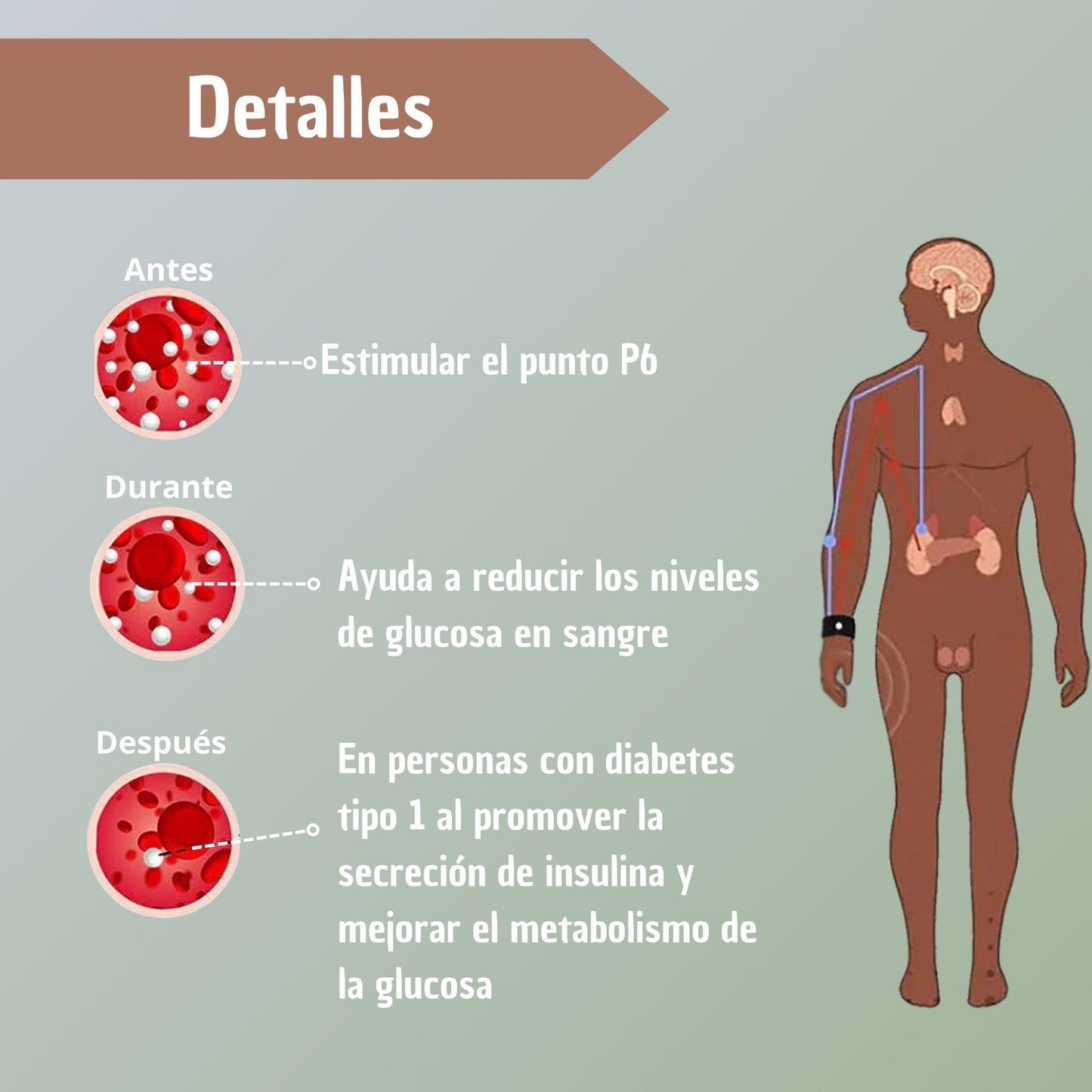 Manillas Pulseras Antimareo Nauseas
