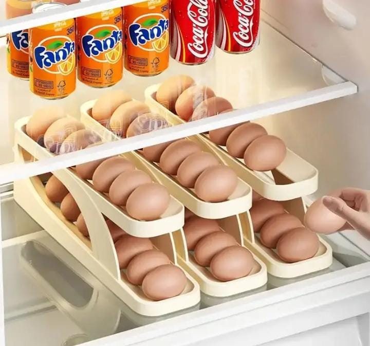 ORGANIZADOR DE HUEVOS